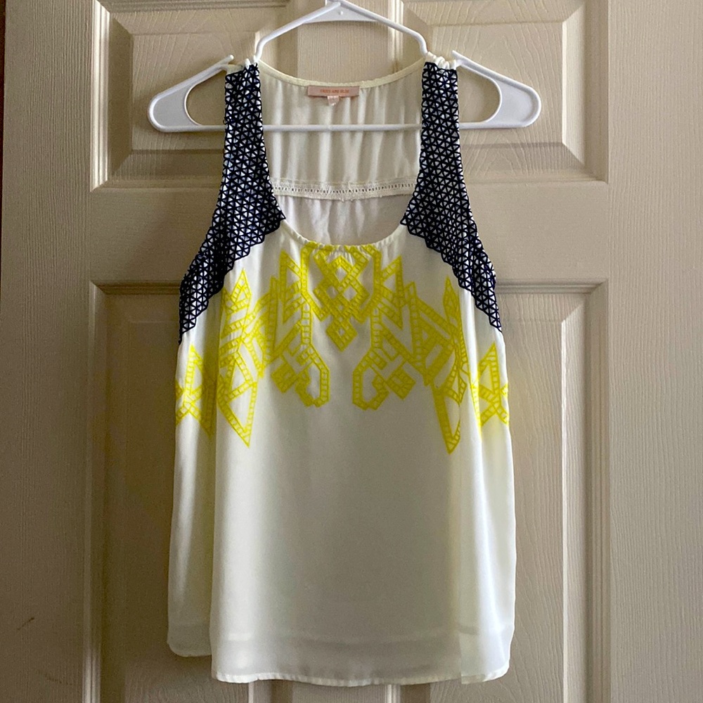 Skies are Blue Embroidered sleeveless top. Perfect for the summer.